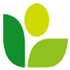 株式会社SwiftCrest Ventures